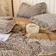 Постельное белье евро с летним одеялом и с рюшами из мако-сатина Mency Print 13 21243