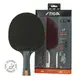 Ракетка для настольного тенниса Stiga Vision 4 Star FL (1214-3218-01)