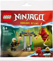Конструктор LEGO NINJAGO Битва за Храм Кая и Раптона 47 деталей (30650)