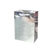 Подарунковий пакет PPW PAPER Lesko ZD004-13 Silver для подарунків