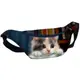 Сумка-бананка Bumbag унисекс на пояс и через плечо Милый котенок 27x16 см