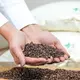 Подушка с гречневой шелухой 40х60 см Aromavita IDEIA ортопедическая с гречкой гречихой жесткая с травами