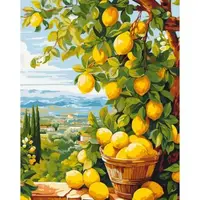 Картина по номерам "Лимонное дерево" 40*50 см