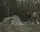 Палатка двухместная Easy Camp Hemsedal 2 (120473)