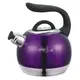 Чайник со свистком на 2,7 л BARTON STEEL BS-3304