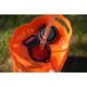 Душ портативный с емкостью и насосом Flextail Tiny Shower Bucket, 20л, оранжевый