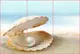 Фотообои текстурированные, виниловые Море, 250х380 см, fo01inV_mp11370
