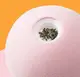 Интерактивная игрушка мячик для кошек со звуками птиц 5922 5 см розовая