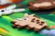Развивающая игра из фетра "Лесные жители"