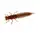 FTN20-1302 Нимфа Flagman Tonbo 2' #1302 Black/Orange