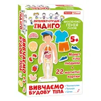 Детская развивающая игра на магнитах. Изучаем строение тела 13109081, 22 карточки в наборе