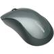 Мышь компьютерная безпроводная Canyon CNE-CMSW11B Black черная