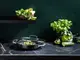 Сотейник с крышкой GreenPan Chef's Collection CC007736-001 28 см 3.5 л черный