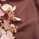 Ткань трикотаж Шарлотта какао