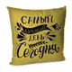 Подушка диванная с бархата Самый лучший день сегодня 45x45 см 45BP_17L003