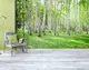 Фотообои текстурированные, виниловые Лес, 250х380 см, fo01inV_fs00007