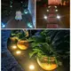 Уличный светильник Disk lights A19 8 led Теплый свет для двора и улицы