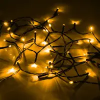 Світлодіодна гірлянда вулична YES 975061 2.8 м 41 LED тепло-білий