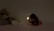 Ночник-светильник Yeelight Motion Sensor Rechargeable Nightlight (YLYD01YL/YD0010W0CN)