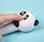 Набір ручок масляних 0.7 мм BP5029 Squishy Panda (2шт)