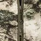Костюм StormWall DWR 2.0 Terra Ua (2434), XXXL
