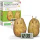 Набор для исследований 4M Картофельные часы (00-03275)