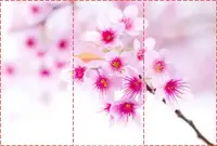Фотообои текстурированные, виниловые Цветы, 250х380 см, fo01inV_fl11639