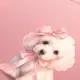 Дневник школьный интегральный А5 YES Sweet Puppy 911726 40 листов