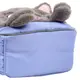 Рюкзак детский YES K-34XS My kitty 550443 7.2 л