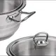 Кастрюля с крышкой Lessner Rica 55880-30 30 см 13 л серебристая