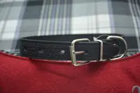 Нашийник для собак шкіряний тиснутий