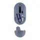 Мышь компьютерная безпроводная 2Е FLORA MALLOW Silent WL BT 2E-MF300WFLORABL