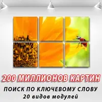 Модульні триптих картини, на ПВХ тканини, 52x80 см, (25x25-6)