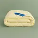 Одеяло теплое Classic холлофайбер 500g/m2 кремовый 200х220см