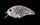 2659-09-67 Воблер OSP Tiny Blitz 46mm 6.5g H04 (0.5-1.0m)