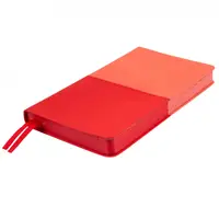 Діловий блокнот Leo Planner Tiffany 252409 352 листа кораловий