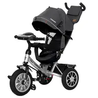 Велосипед трехколесный Tilly Camaro T-362/2 Темно-серый