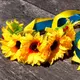 Украинский веночек с лентами на ободке Соломия 12224 (желтый)