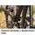 Велосипед MONDRAKER Arid S 28'', Bronze, M/L