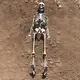 Большая модель скелета RESTEQ детализированная фигурка скелета анатомический скелет человека 90см
