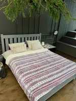 Плед Dushka Home Новорічний 21472 200х230 см червоний з сірим