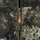 Костюм Hunter Vent Grid Norman (5817), XL