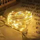 Гирлянда светодиодная от сети Роса Y25-37WW 19604 10 м 100 LED теплый желтый