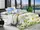 Комплект постельного белья BR-179 TAG polycotton sem-709