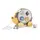 Дерев"яна каталка-сортер Viga Toys PolarB Їжачок 44025