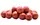 Бойл CC Baits Professional Soluble Gammarus Belachan 20mm 1kg