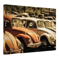 Картина на холсте Фольксваген Beetle 45x65 см (H4565_STV006)