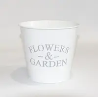 Кашпо декоративне 2л FLOWERS GARDEN Vitan, колір Білий глянець, 140*110*157, метал