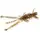 Силикон FishUp Shrimp 4.5" #045 Green Pumpkin/Red & Black