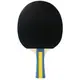 Набор для настольного тенниса Joola Team Master Pro 2 Bats 3 Balls (52001-1)